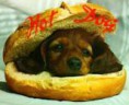 Hot Dog